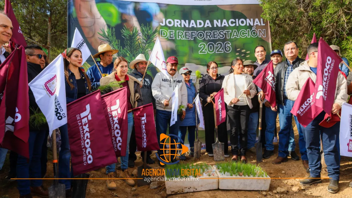 Siembran más de 35 mil árboles en la montaña de Texcoco