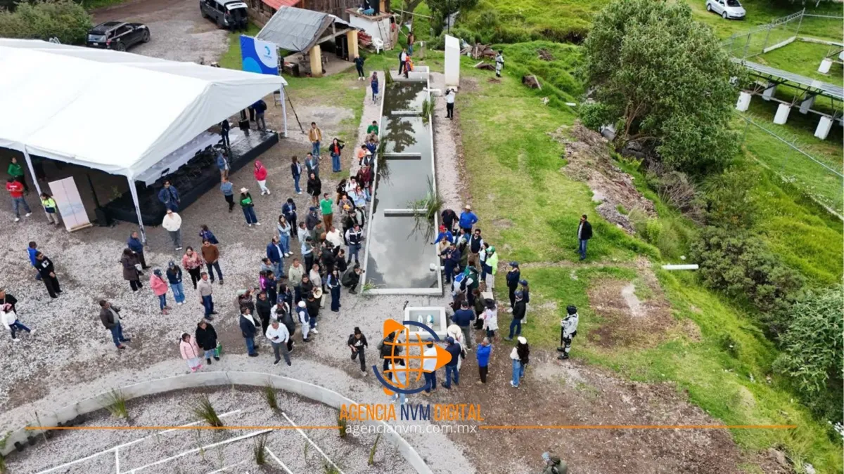 Impulsan restauración ambiental con nuevo humedal en Ocoyoacac