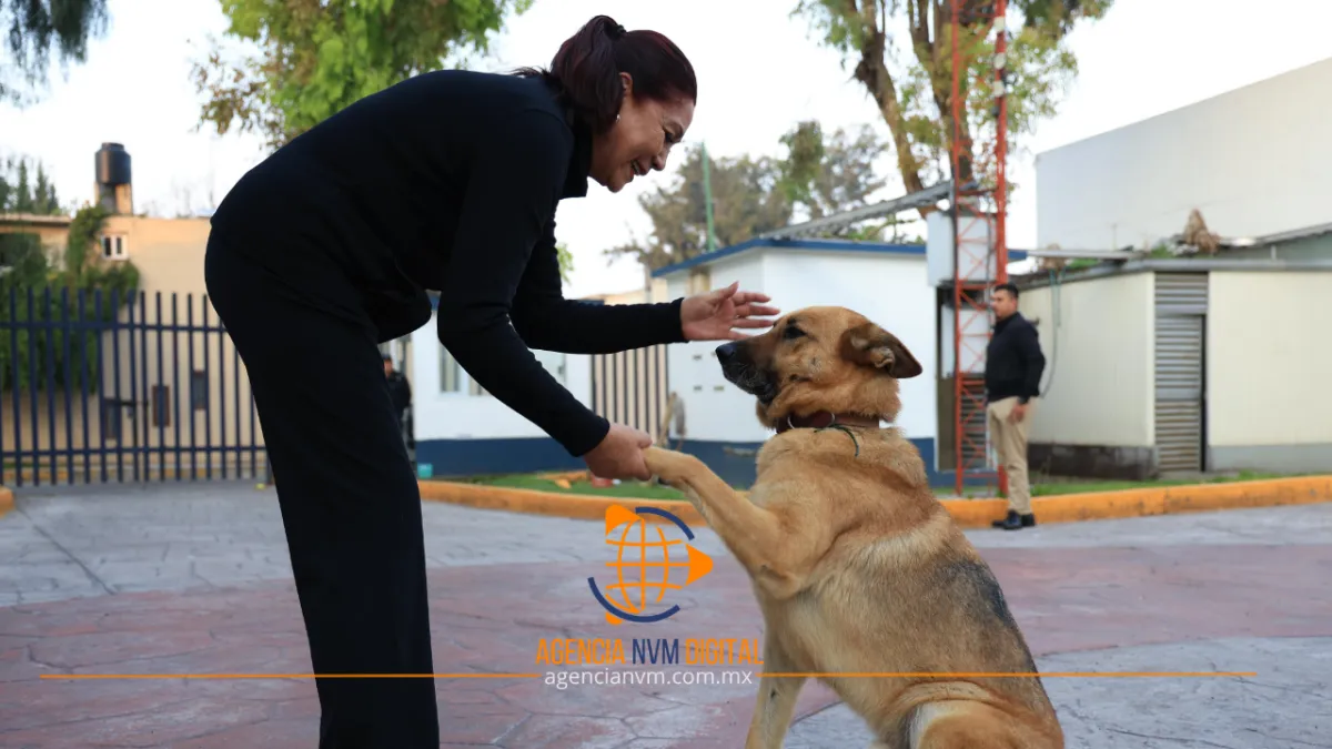 Celebra Tecámac Día del Perro con acciones al bienestar animal