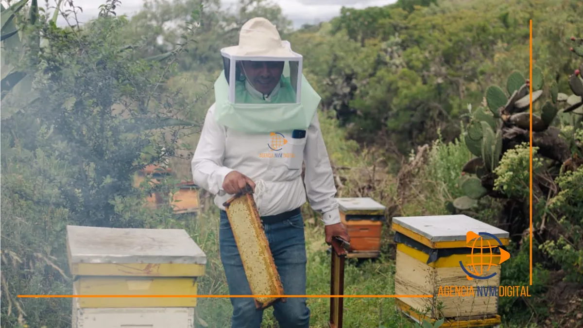 Enfrentan productores de miel crisis climática con movilidad constante