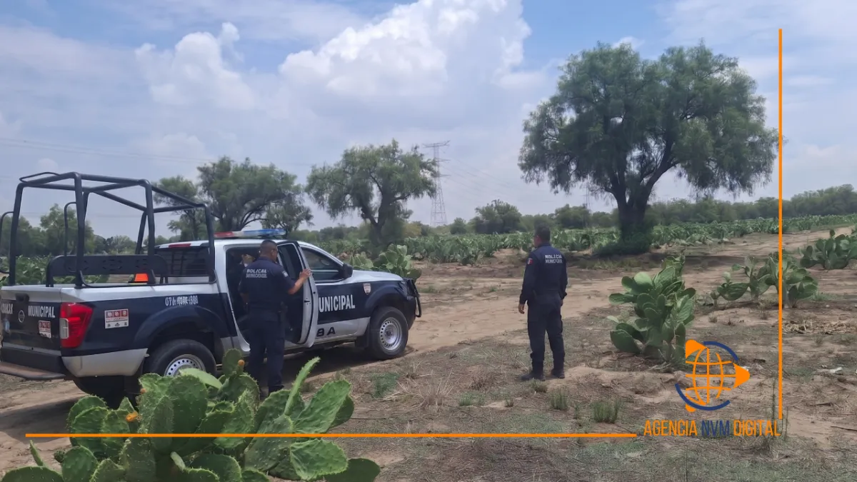 Roban 53 borregos y golpean a adulto mayor en San Marcos Tlaxuchilco