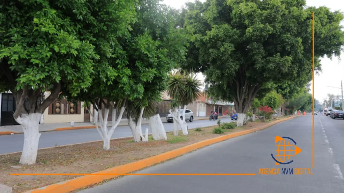 Retiran 18 mil toneladas de basura en camellones de Ecatepec