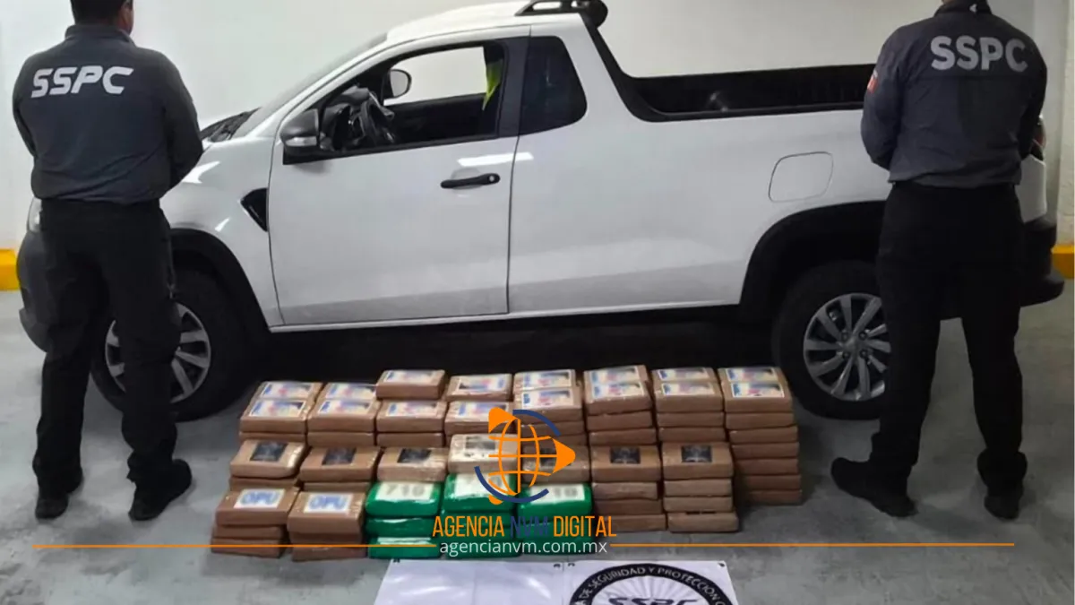Aseguran más de 200 kilos de cocaína en Alcaldía  Tlalpan