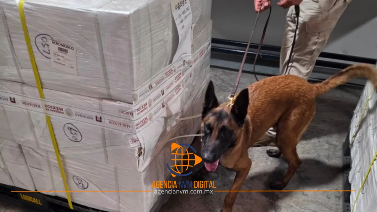 Aseguran cuatro toneladas de cigarros ilícitos en el AICM