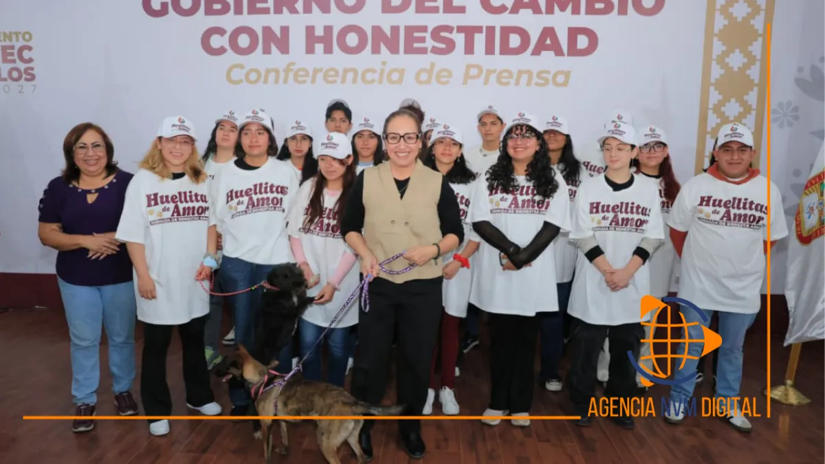 Anuncian campaña "Huellitas de Amor" para frenar sobrepoblación animal