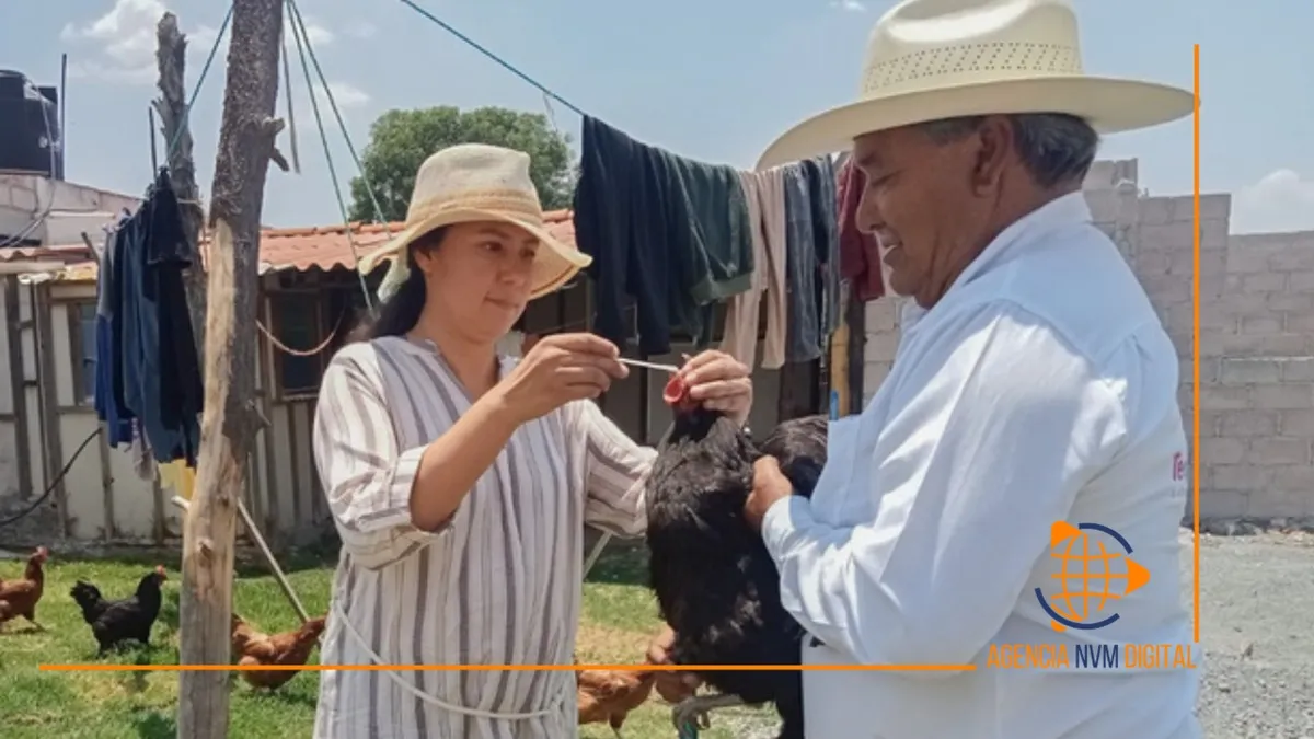 Inspeccionan ganado en Teotihuacán para prevenir enfermedades