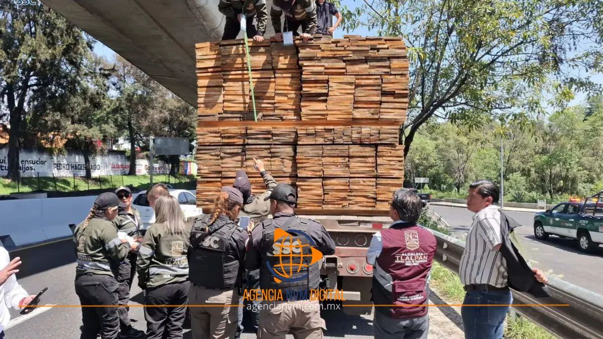 Frenan cargamento de madera clandestina durante operativo en Tlalpan  