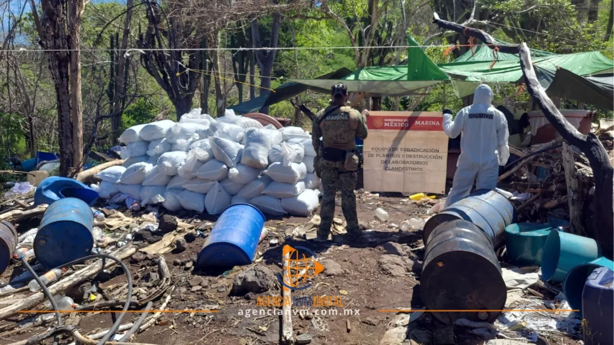 Asegura Marina 16.8 toneladas de metanfetamina en Sinaloa