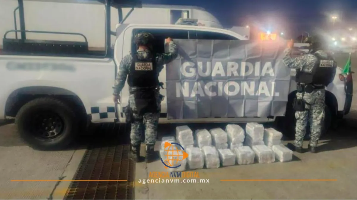 Aseguran 75.9 kilos de cocaína en camión con tunas