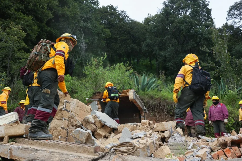 Recuperan 10 hectáreas de suelo protegido en Los Dinamos