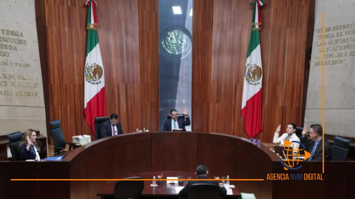 Ordena Tribunal Electoral inscribir a 24 internautas en registro de agresores