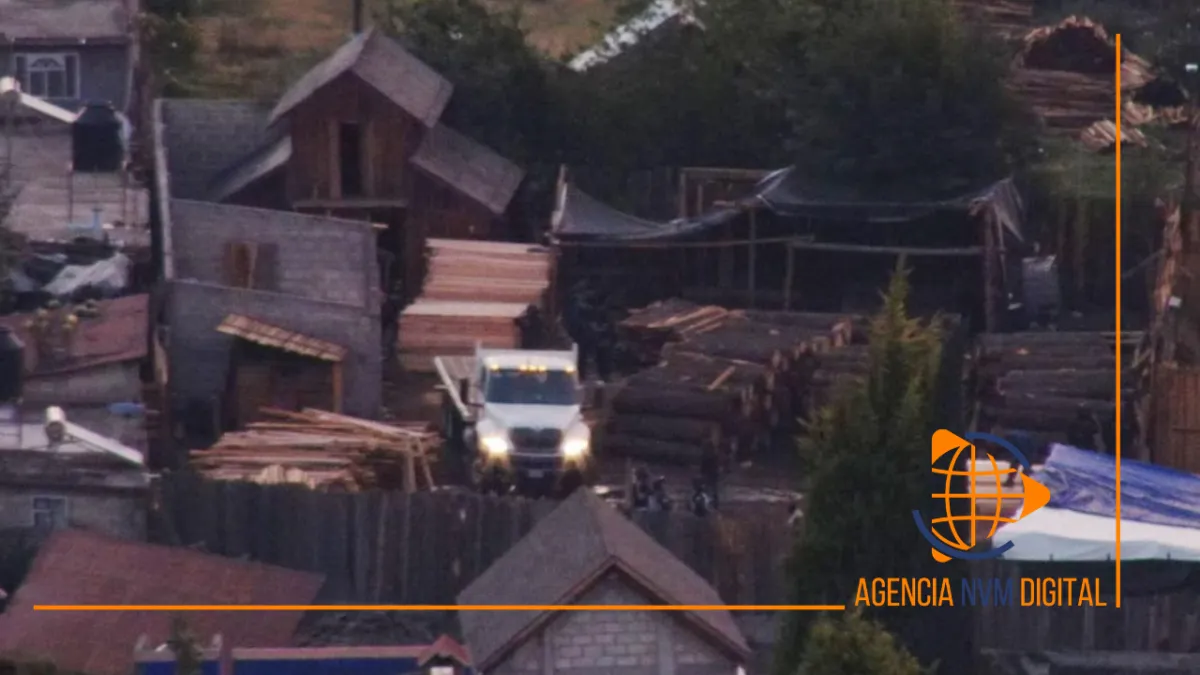 Decomisan más de 21 mil metros cúbicos de madera ilícita