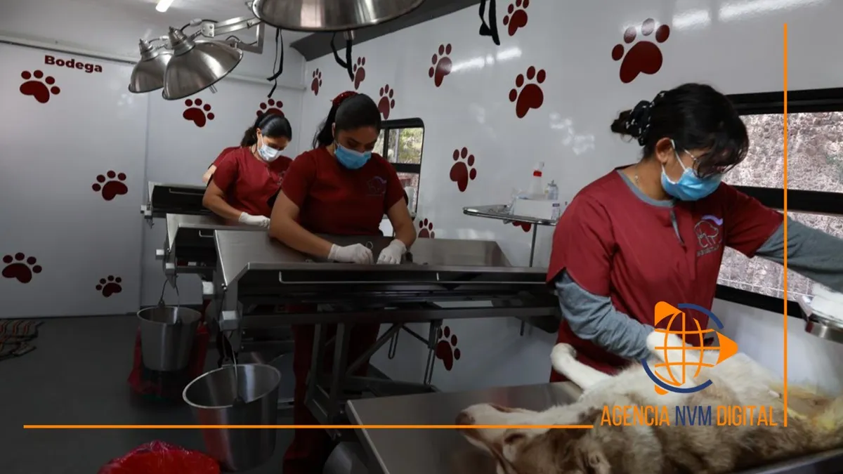 Ofrece Gobierno de Tecámac esterilizaciones gratuitas durante todo abril