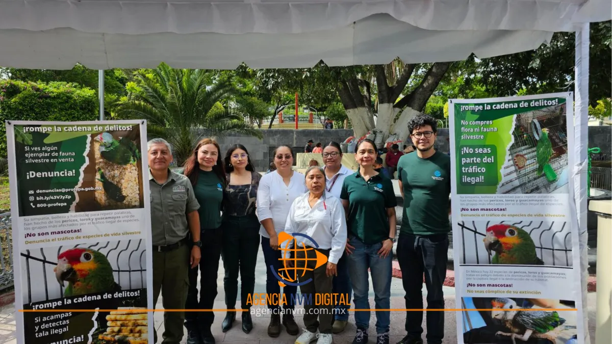 Unen esfuerzos contra el tráfico de aves en Puebla