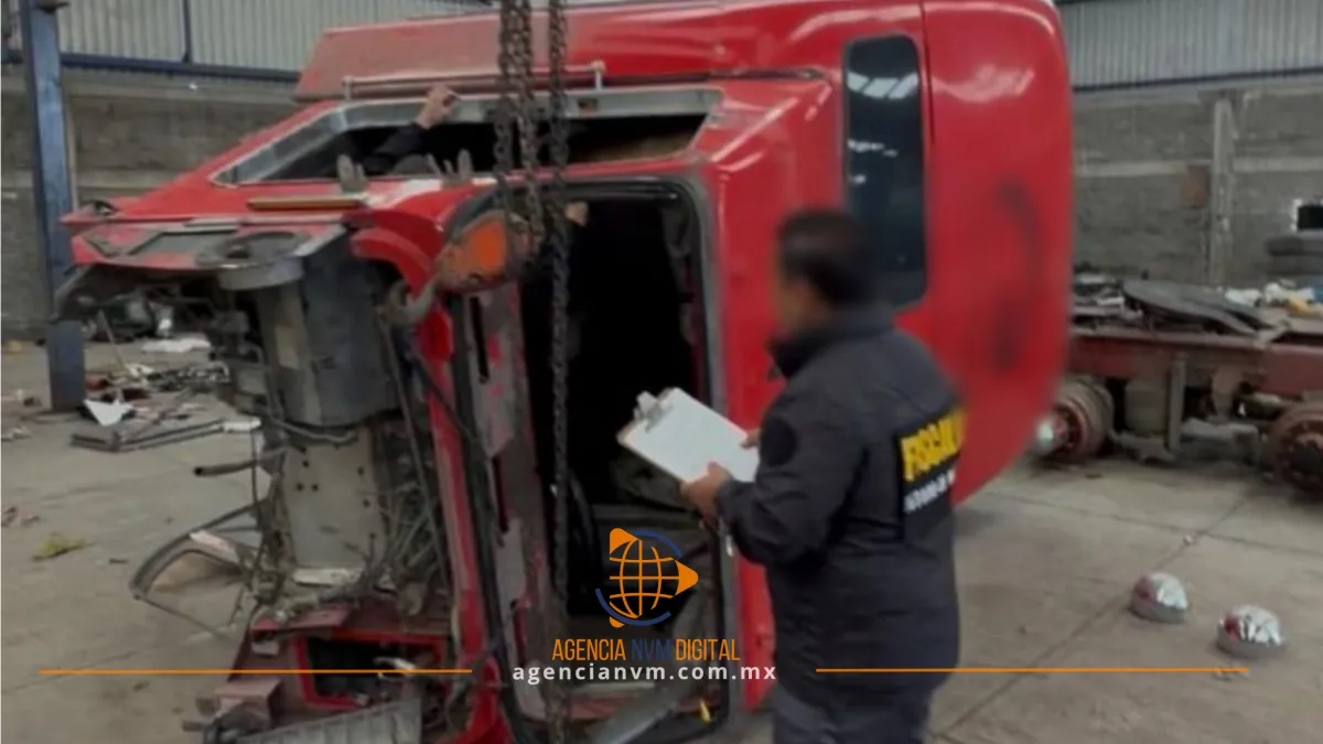 Catean predio en Zumpango y hallan vehículo robado