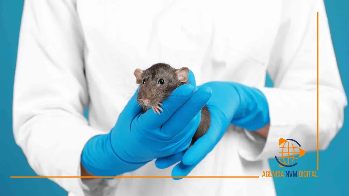 Hantavirus: la medicina veterinaria, clave en la prevención de riesgos sanitarios